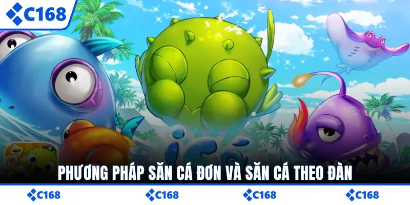 Phương pháp săn cá đơn và săn cá theo đàn